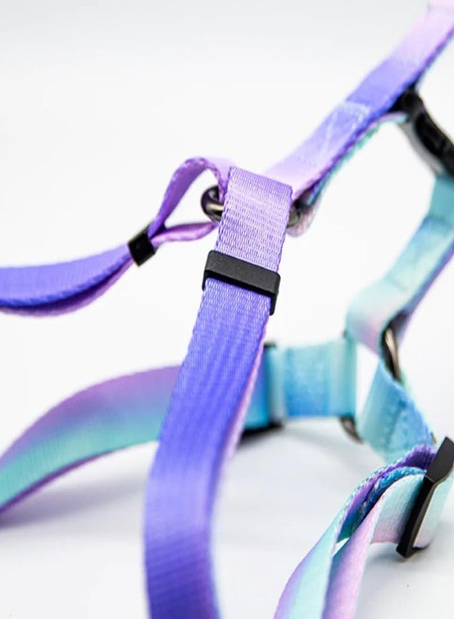 KittuPet طقم سرج ومقود للكلاب من KittuPet، قابل للتعديل، آمن، مصنوع من النايلون، مناسب للمشي في الهواء الطلق، لون متوسط متدرج بين البنفسجي والأبيض (15 مم). - Image 5